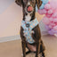 Dog Adjustable Harness - Sweets & Pawfee