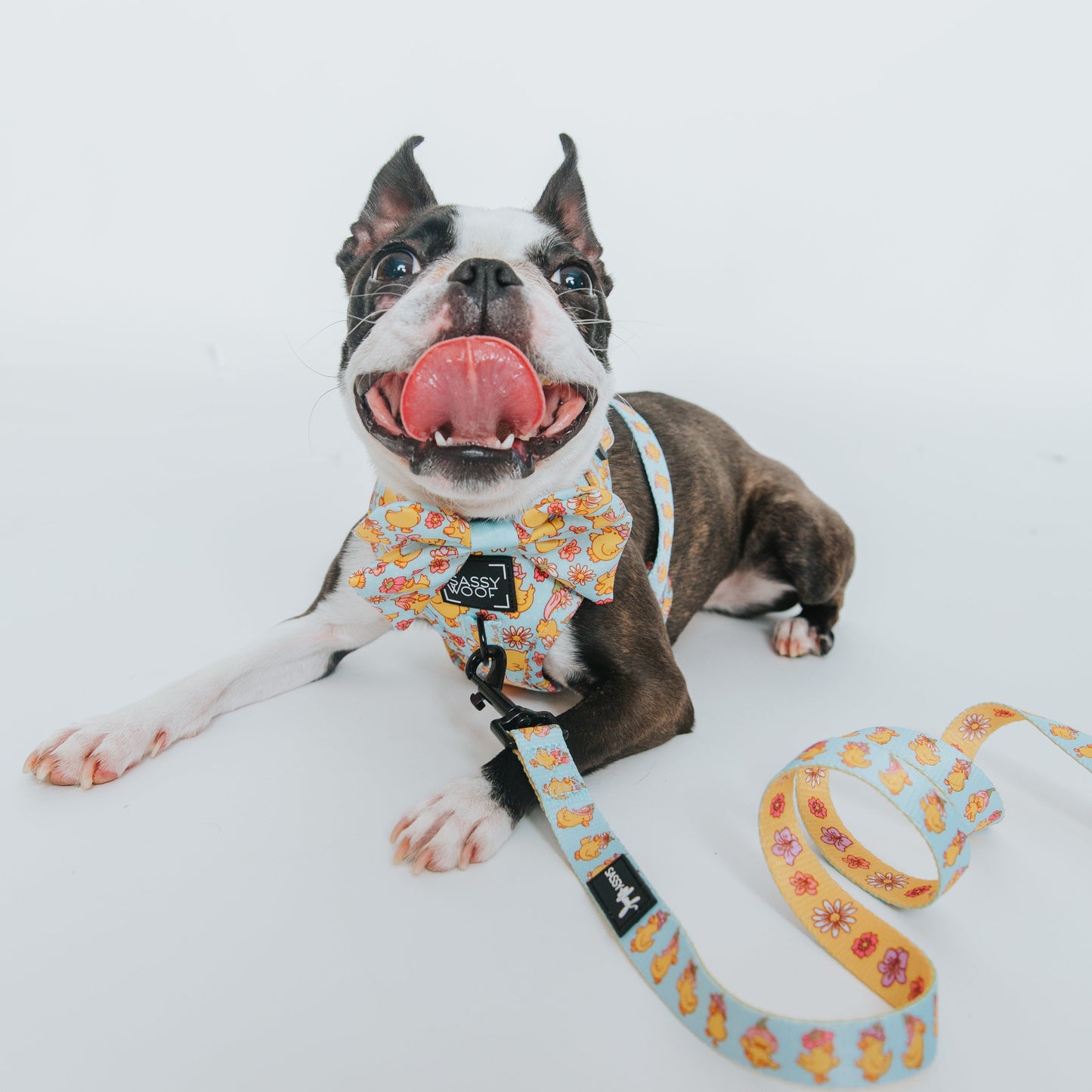 Dog Leash - Good Duck, Babe!