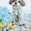Dog Leash - Patch Perfect
