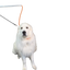 Standard Leash Pole