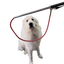 Standard Leash Pole