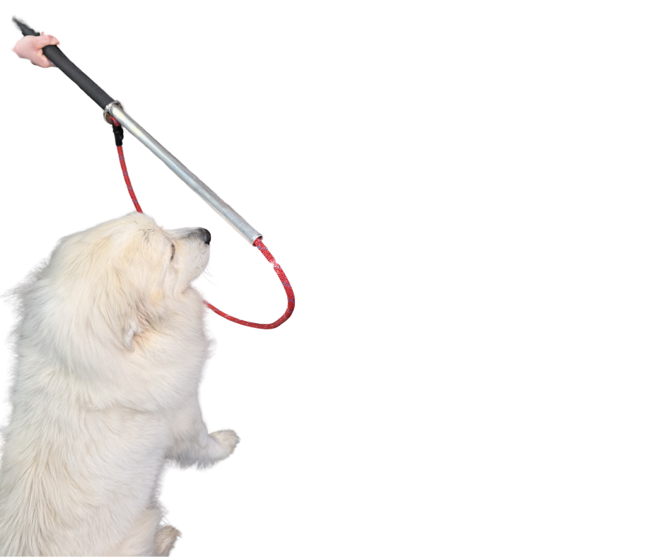 Standard Leash Pole