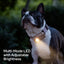SATELLAI Collar Go GPS Dog Tracker