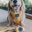 Dog Adjustable Harness - Sunflower Fields
