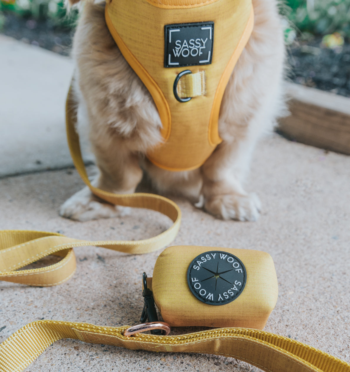 Dog Leash - Sunflower Fields