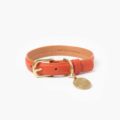 Sunset Collar