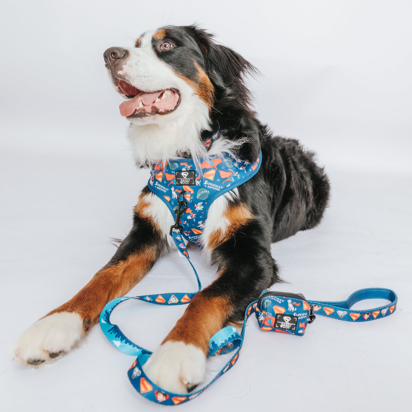 Dog Adjustable Harness - Superman™ & Krypto™