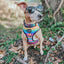 Dog Adjustable Harness - Love You Fur You