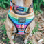Dog Adjustable Harness - Love You Fur You