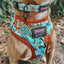 Dog Adjustable Harness - Scooby-Doo™