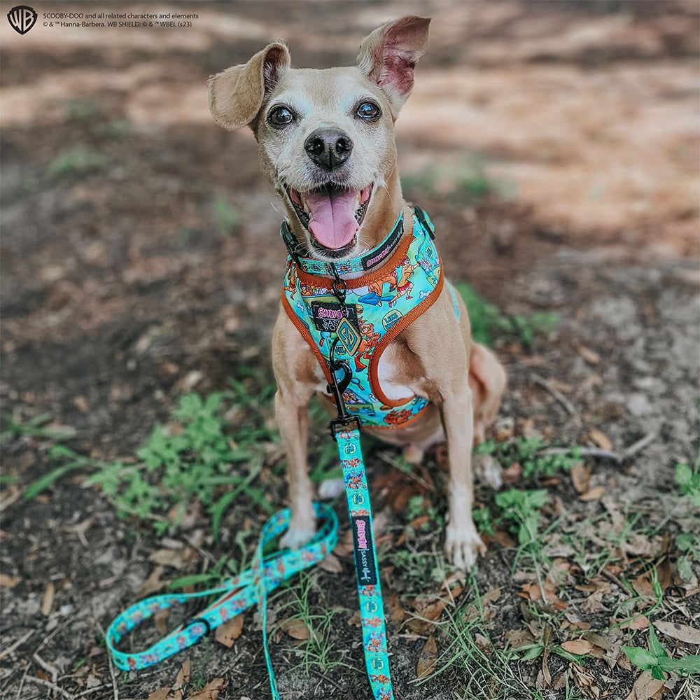 Dog Leash - Scooby-Doo™