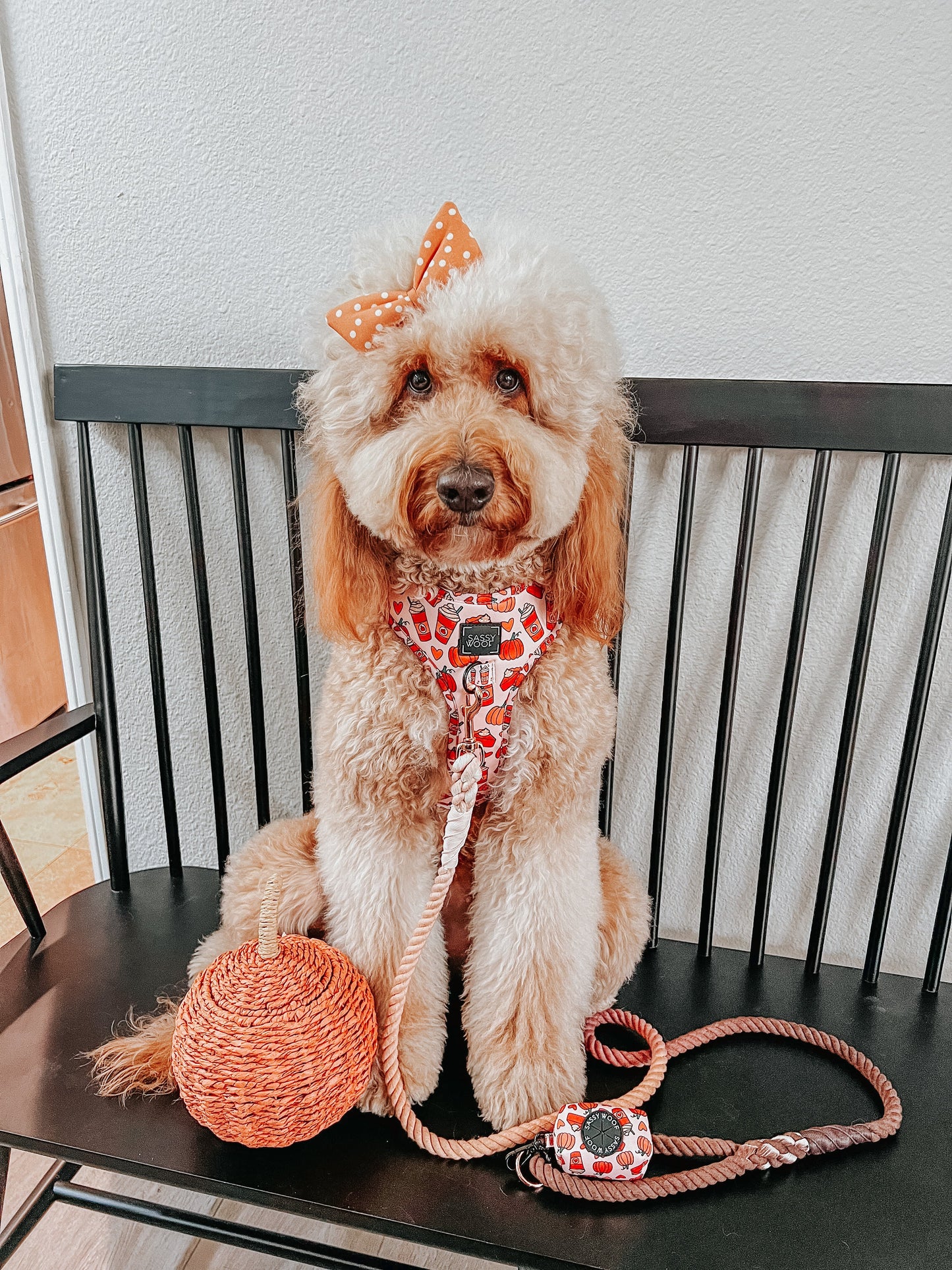 Dog Adjustable Harness - Pie There!