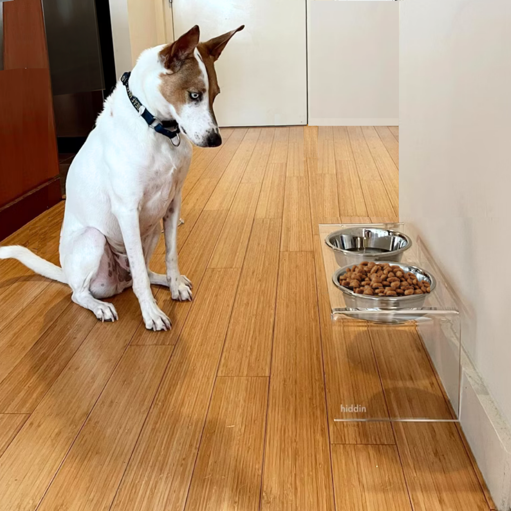 Tall Silver Double Feeder
