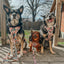 Dog Collar - National Bark