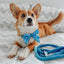 Dog Rope Leash - KEN™