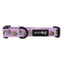 Dog Collar - Tea Pawty
