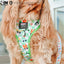 Dog Adjustable Harness - The Powerpuff Girls™ (Green)