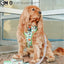 Dog Leash - The Powerpuff Girls™ (Green)