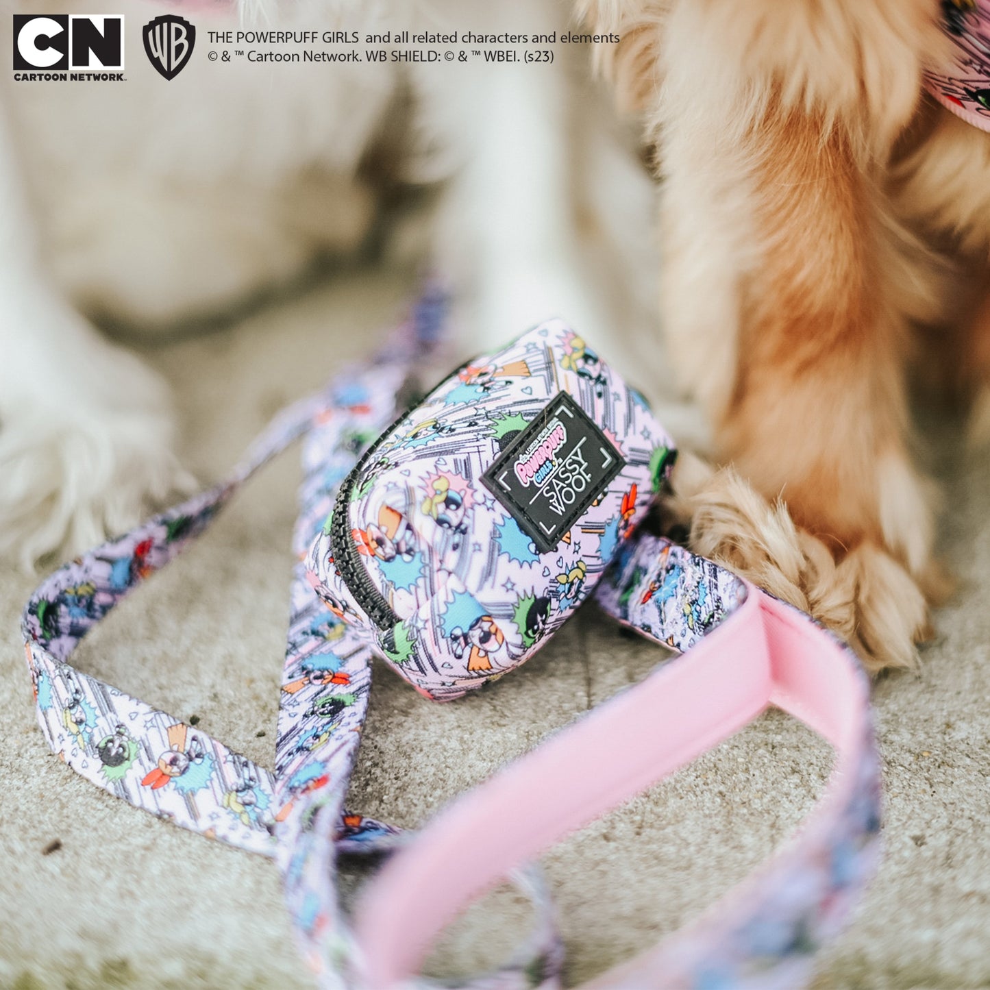 Dog Leash - The Powerpuff Girls™ (Pink)