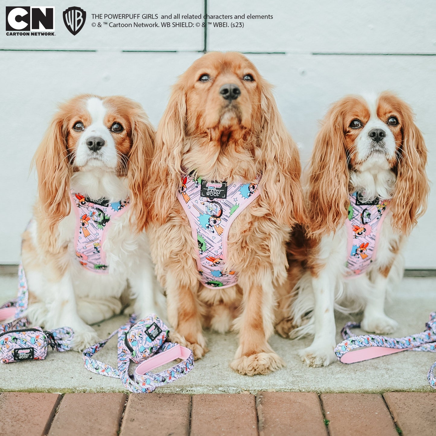 Dog Leash - The Powerpuff Girls™ (Pink)