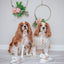 Dog Leash - Pup of Honor