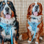 Dog Adjustable Harness - Disney's Stitch