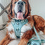 Dog Leash - Sage