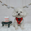 Dog Adjustable Harness - Deck the Paws