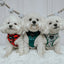 Dog Adjustable Harness - Under the Mistletoe