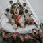 Dog Adjustable Harness - Teddy