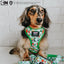 Dog Adjustable Harness - The Powerpuff Girls™ (Green)