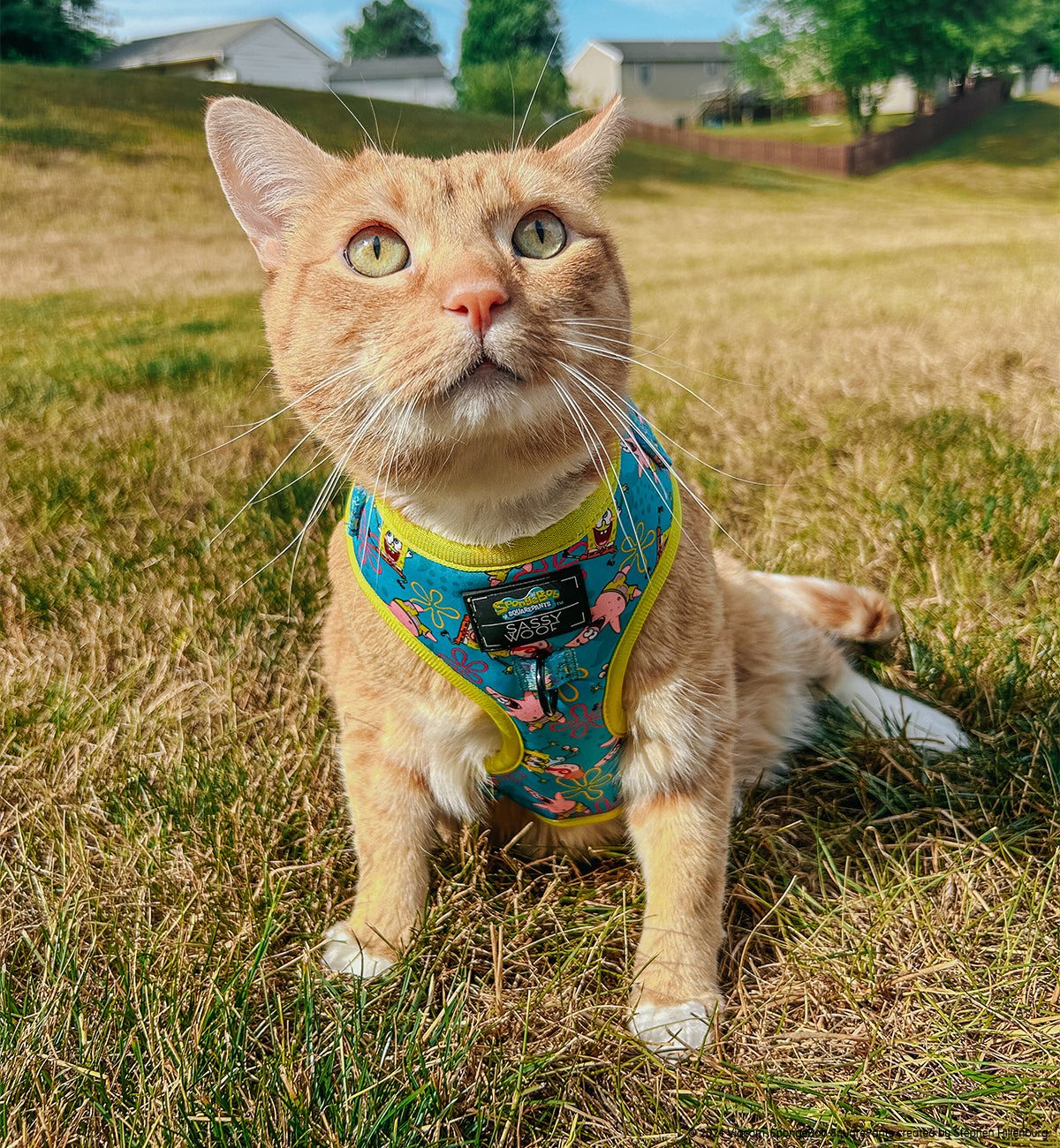 Dog Adjustable Harness - SpongeBob SquarePants™ Jelly Fishin'