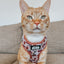 Dog Adjustable Harness - STAR WARS™ The Rebel Alliance