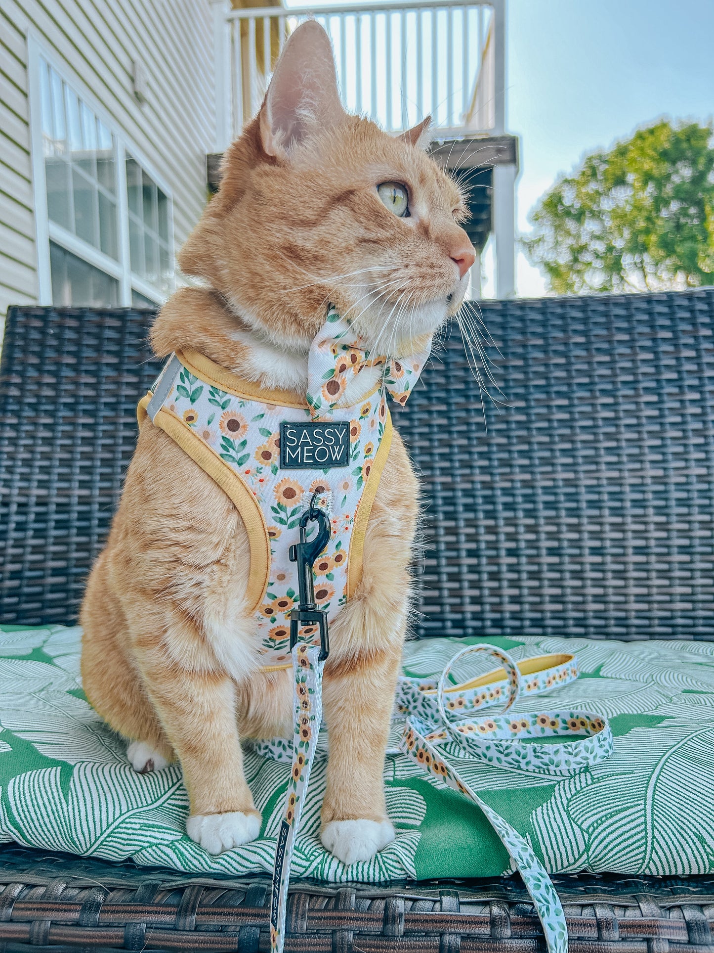 Cat Step-In Harness - Sunflower Dreams