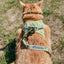 Cat Collar - Zest Friends
