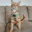 Dog Adjustable Harness - Apple of My Eye