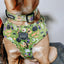 Dog Adjustable Harness - Haunt Mess