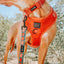 Dog Adjustable Harness - Foxy