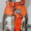 Dog Collar - Foxy