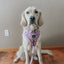 Dog Adjustable Harness - Tea Pawty