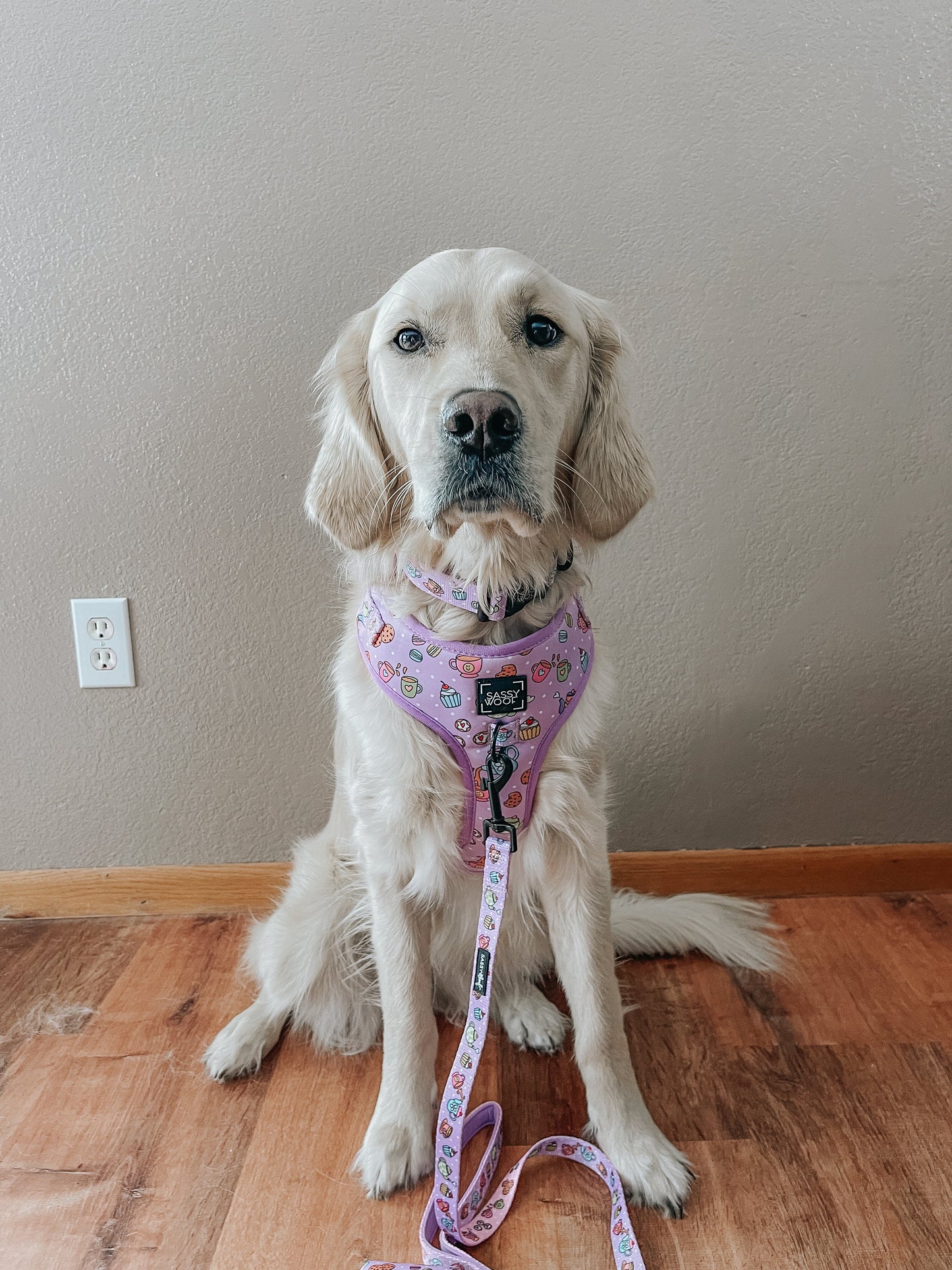 Dog Adjustable Harness - Tea Pawty