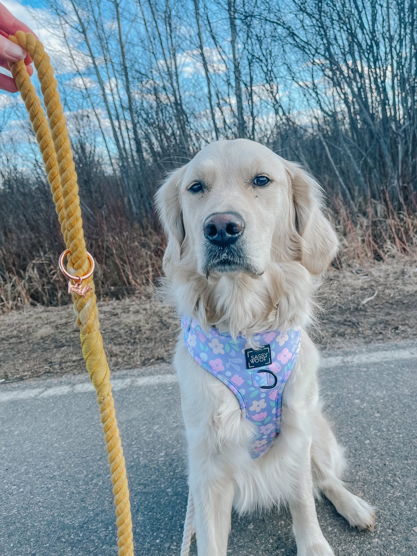 Dog Rope Leash - Lemon Drop