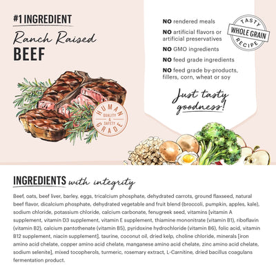 Honest Kitchen Clusters Whole Grain Beef & Oat Dog