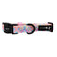 Dog Collar - Good Vibes