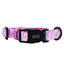 Dog Collar - Purple Haze