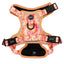 Dog Step-in Harness - Summer Sorbet