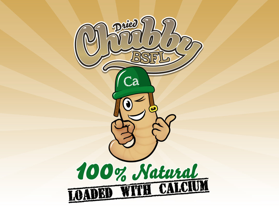 11LB Chubby Dried Black Soldier Fly Larvae - Grown in North America (Montreal) Non-GMO