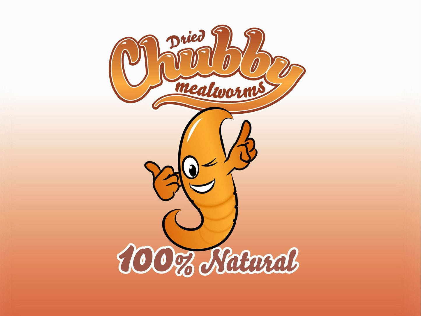 33Lbs Chubby Dried Mealworms