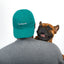 Dog Dad Club Hat - Green