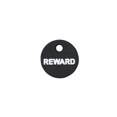 Reward Mini Charm